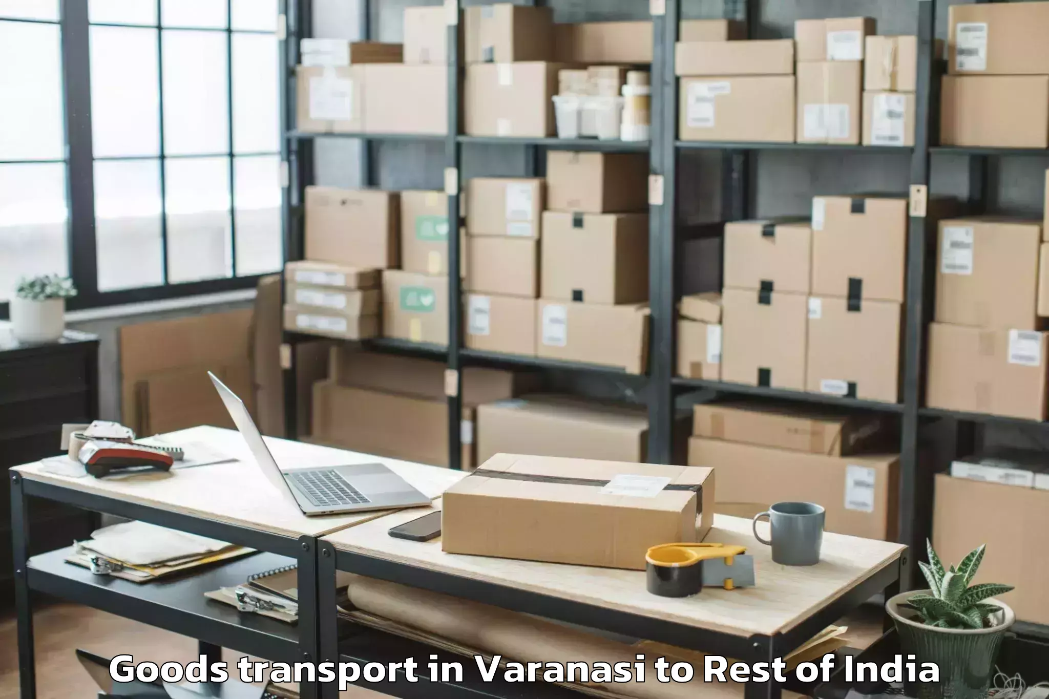 Easy Varanasi to Puchi Geko Goods Transport Booking